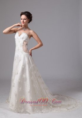 Unique V-neck Lace Bridal Gowns Appliques Chapel Train