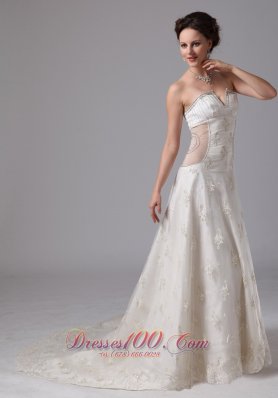 Unique V-neck Lace Bridal Gowns Appliques Chapel Train