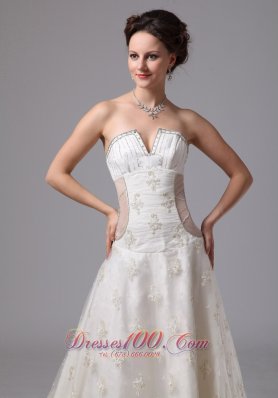 Unique V-neck Lace Bridal Gowns Appliques Chapel Train