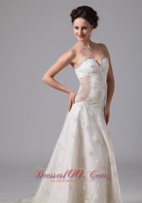 Unique V-neck Lace Bridal Gowns Appliques Chapel Train