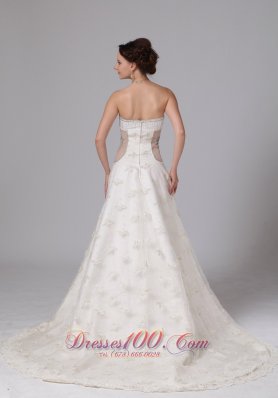 Unique V-neck Lace Bridal Gowns Appliques Chapel Train