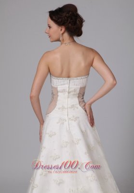 Unique V-neck Lace Bridal Gowns Appliques Chapel Train