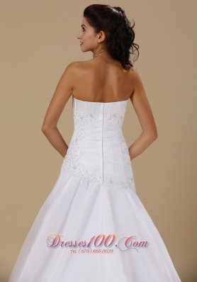 Appliques A-line 2013 Church Wedding Gowns Chapel Train