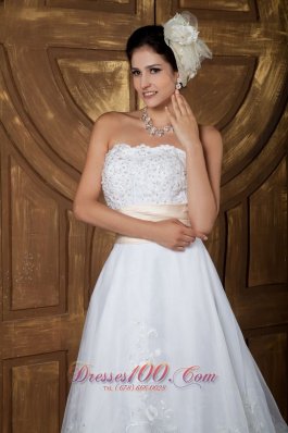 Beautiful Embroidery Bridal Dress Colored Strapless Organza