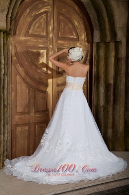 Beautiful Embroidery Bridal Dress Colored Strapless Organza