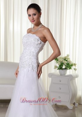 A-line Tulle Lace Wedding Dress Strapless Chapel Train