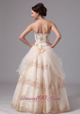 Champagne Layered Lace Wedding Bridal Ball Gowns Appliques