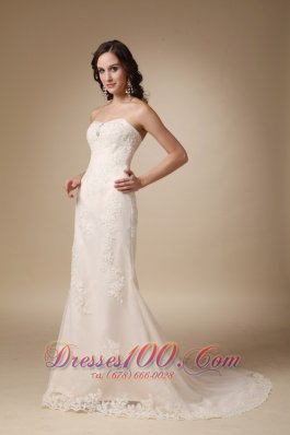 Dreamy Empire Lace Bridal Dress Column Sweetheart Court