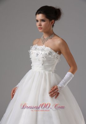 Strapless Tulle Appliques Wedding Dress Ball Gown