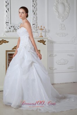 Appliques Organza Brush Train Wedding Dress