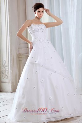 Appliques Strapless Tulle A Line Wedding Dress