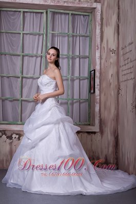 Organza Chapel Train Appliques Strapless Wedding Dress