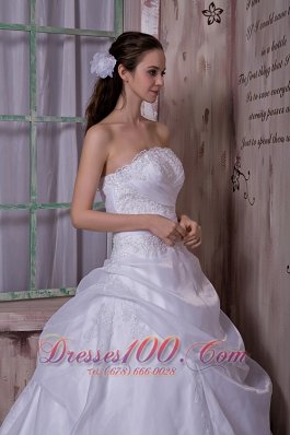 Organza Chapel Train Appliques Strapless Wedding Dress