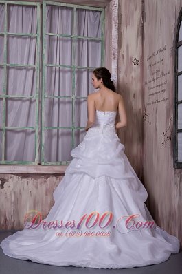 Organza Chapel Train Appliques Strapless Wedding Dress