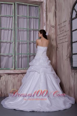 Organza Chapel Train Appliques Strapless Wedding Dress