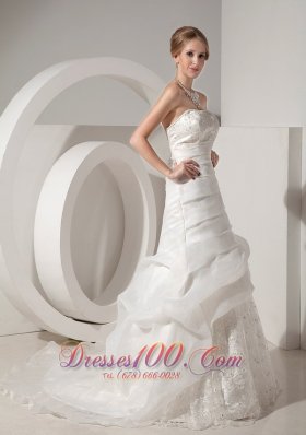 Appliques Chapel Train Organza Bridal Wedding Dress