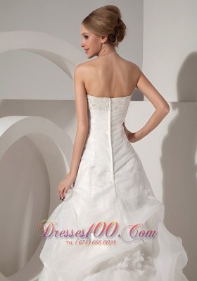 Appliques Chapel Train Organza Bridal Wedding Dress