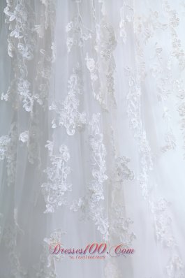 Latest A-line V-neck Wedding Dress Tulle Lace Court Train