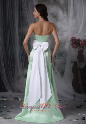 Apple Green Formal Evening Dress Column Brush Train Sash