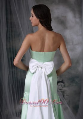 Apple Green Formal Evening Dress Column Brush Train Sash