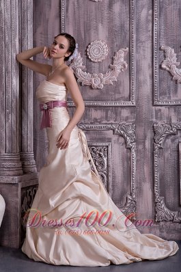 Champagne Beaded Satin Brush Belt Mother Dress