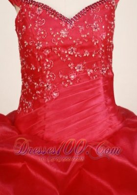 Off Shoulder Plus Size Pageant Dresses Carmine Red Applique