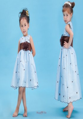 Appliques Baby Blue Colored Flowers Little Girl Dress