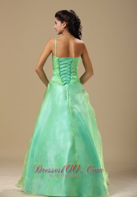 Hand Made Folwers Turquoise Organza Overlay Prom Dresses