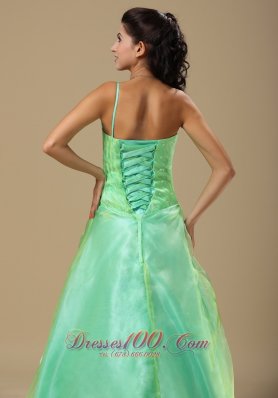 Hand Made Folwers Turquoise Organza Overlay Prom Dresses