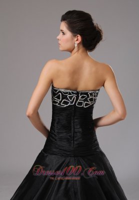 Black Organza Prom Dress With Brush Train Princess