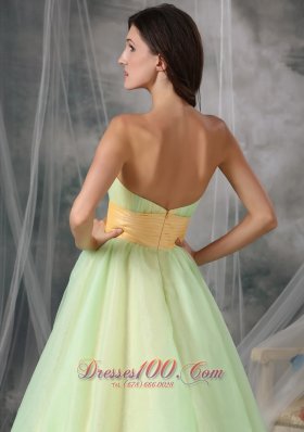 Yellow Green A-line Quinceanera Dress Organza Appliques