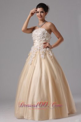 Champagne and White Appliques Ball GownTulle Overlay