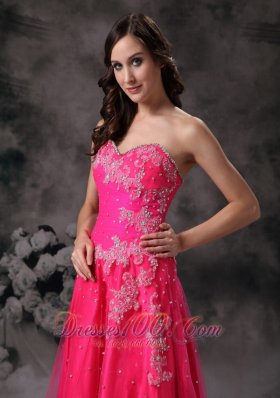 Hot Pink Floral Appliques Beading Formal Prom Dress