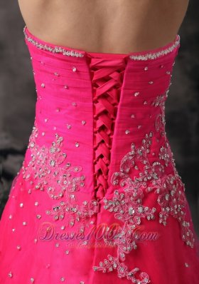 Hot Pink Floral Appliques Beading Formal Prom Dress