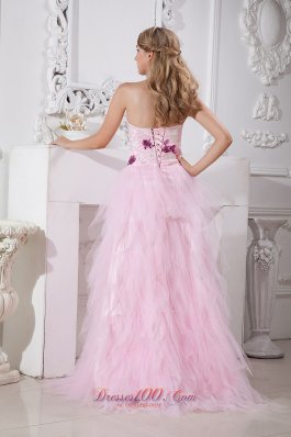 Brush Train Taffeta and Tulle Appliques Prom Dress