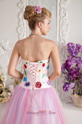 Colorful Appliques Bodice Tulle Overlay Prom Gowns