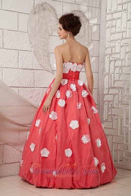 A-line Prom Dress Watermelon Taffeta White Floral Appliques