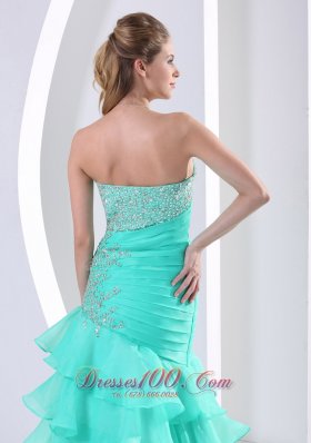 Beaded Decorate and Ruch Bodice Celebrity Dress Mermaid