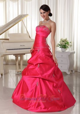 Plus Size Prom Dress Pick-ups Appliques Scattered