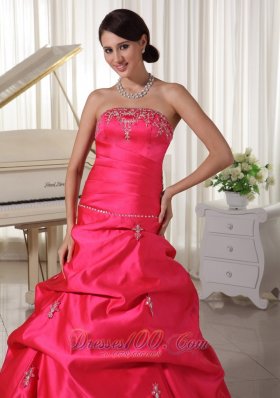 Plus Size Prom Dress Pick-ups Appliques Scattered