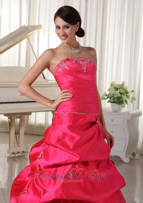 Plus Size Prom Dress Pick-ups Appliques Scattered