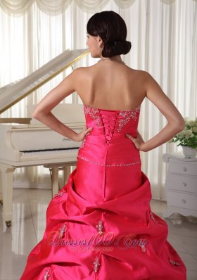 Plus Size Prom Dress Pick-ups Appliques Scattered