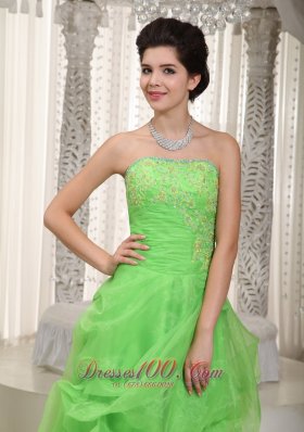 Cute Green Empire Prom Dress Organza Appliques