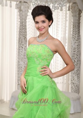 Cute Green Empire Prom Dress Organza Appliques