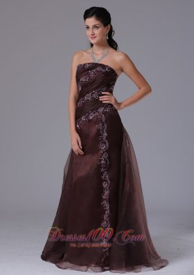 Wholesale 2013 Prom Celebrity Dress Brown