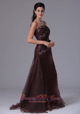 Wholesale 2013 Prom Celebrity Dress Brown