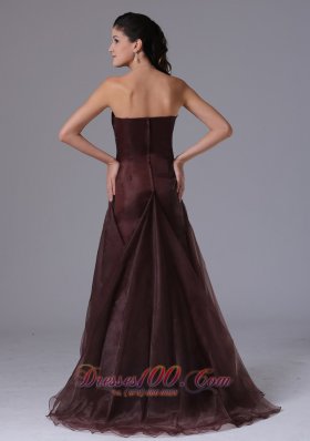 Wholesale 2013 Prom Celebrity Dress Brown