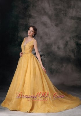 Brush Train Straps Organza Prom Dress V-neck