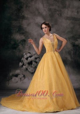 Brush Train Straps Organza Prom Dress V-neck