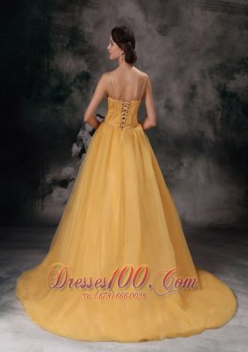 Brush Train Straps Organza Prom Dress V-neck